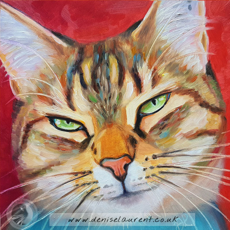Molly - Sold