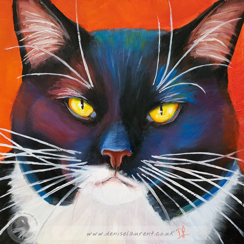 Tuxedo Cat 6x6" Framed Oil Painting