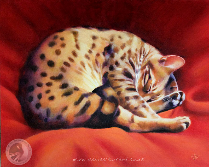 Portrait Of Binks