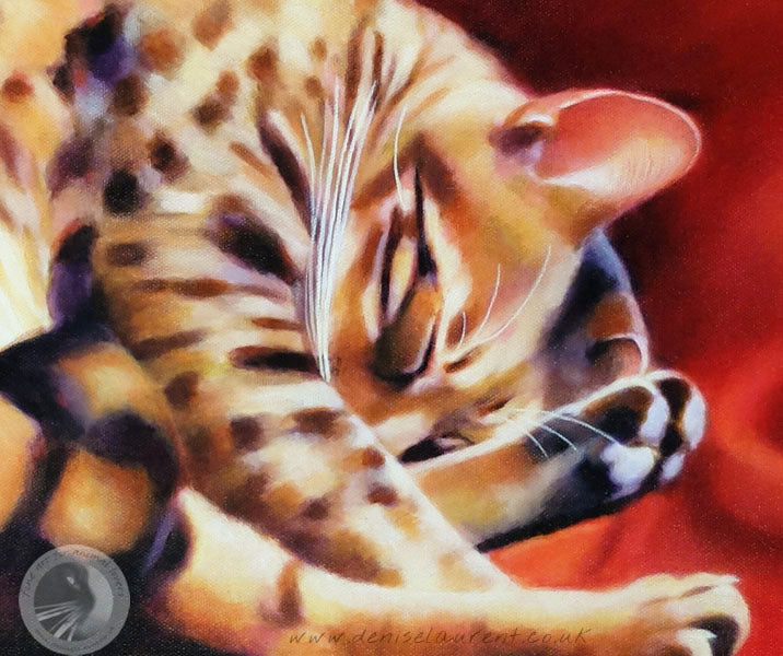 Portrait Of Binks