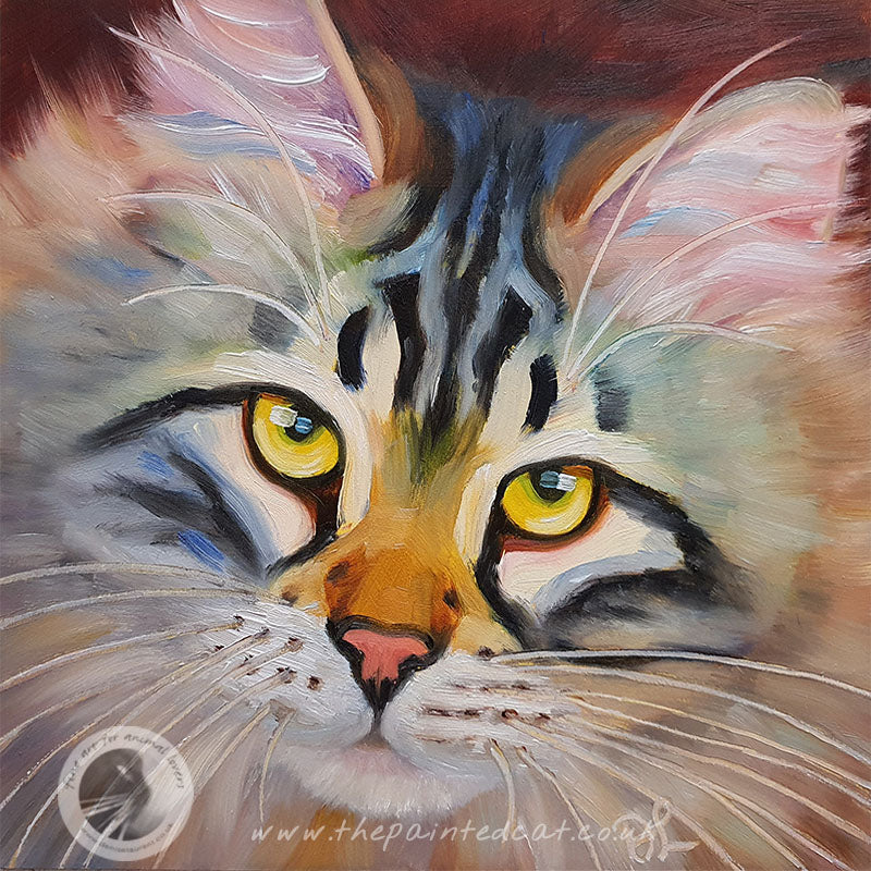 Zeppi  - Sold