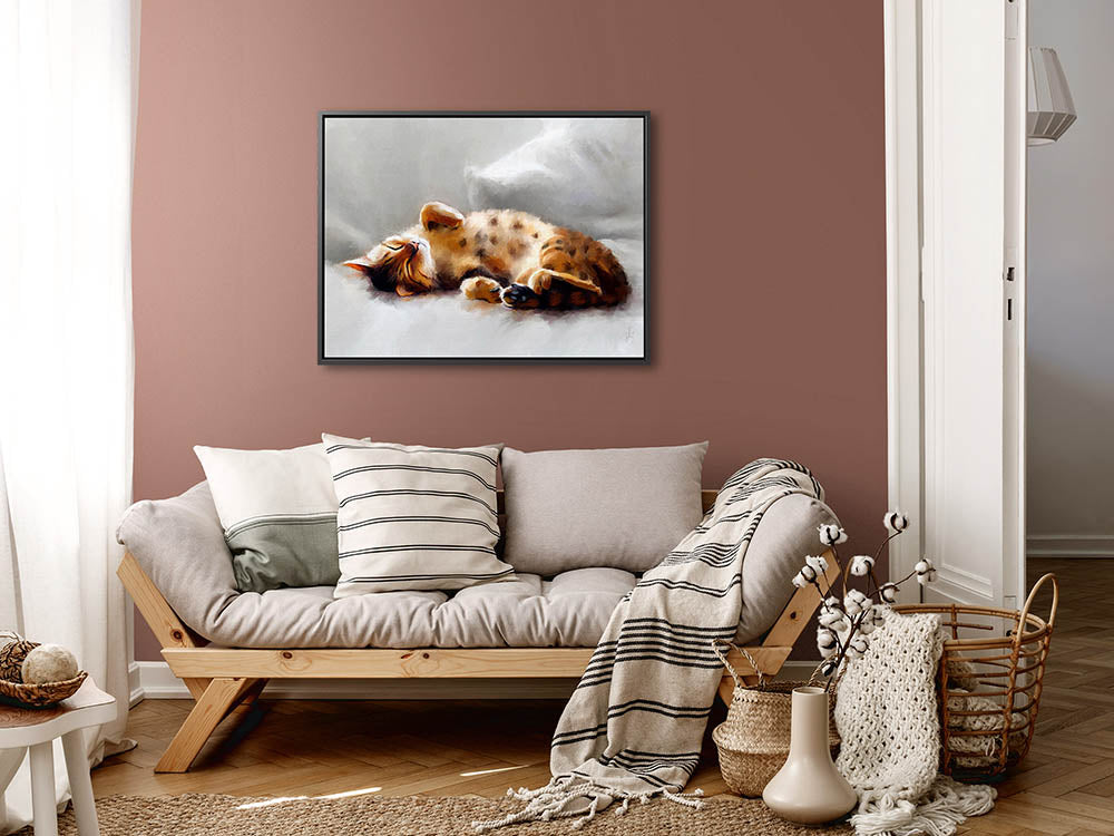 All Curled Up - Framed Canvas Print