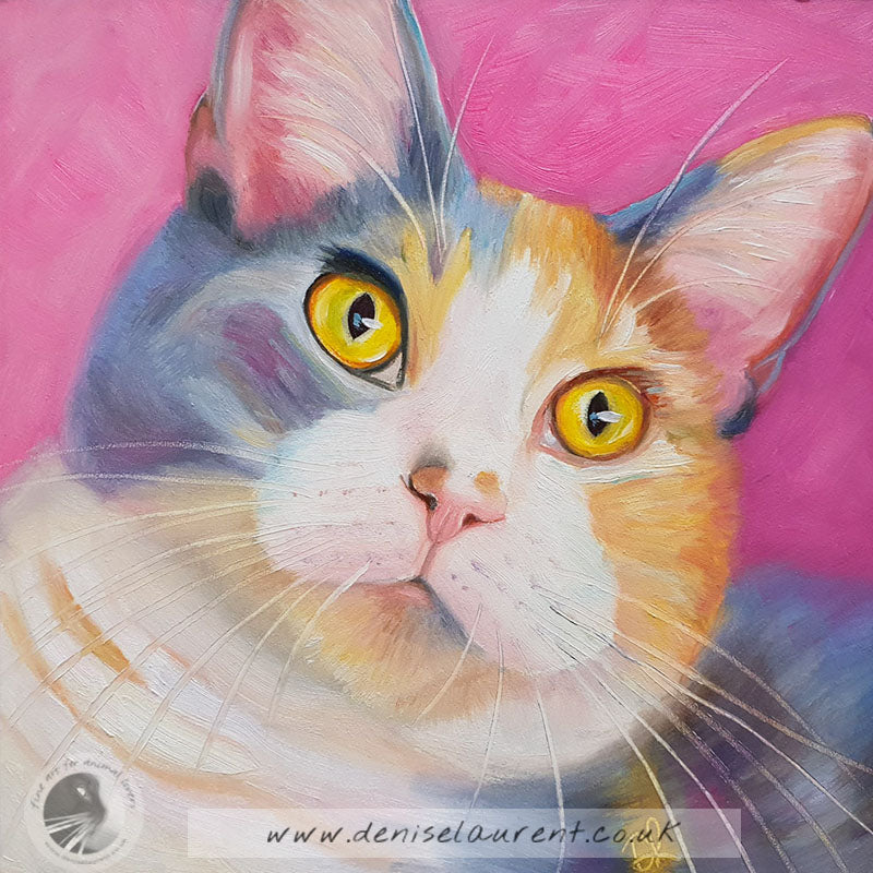 Ashley  - Sold