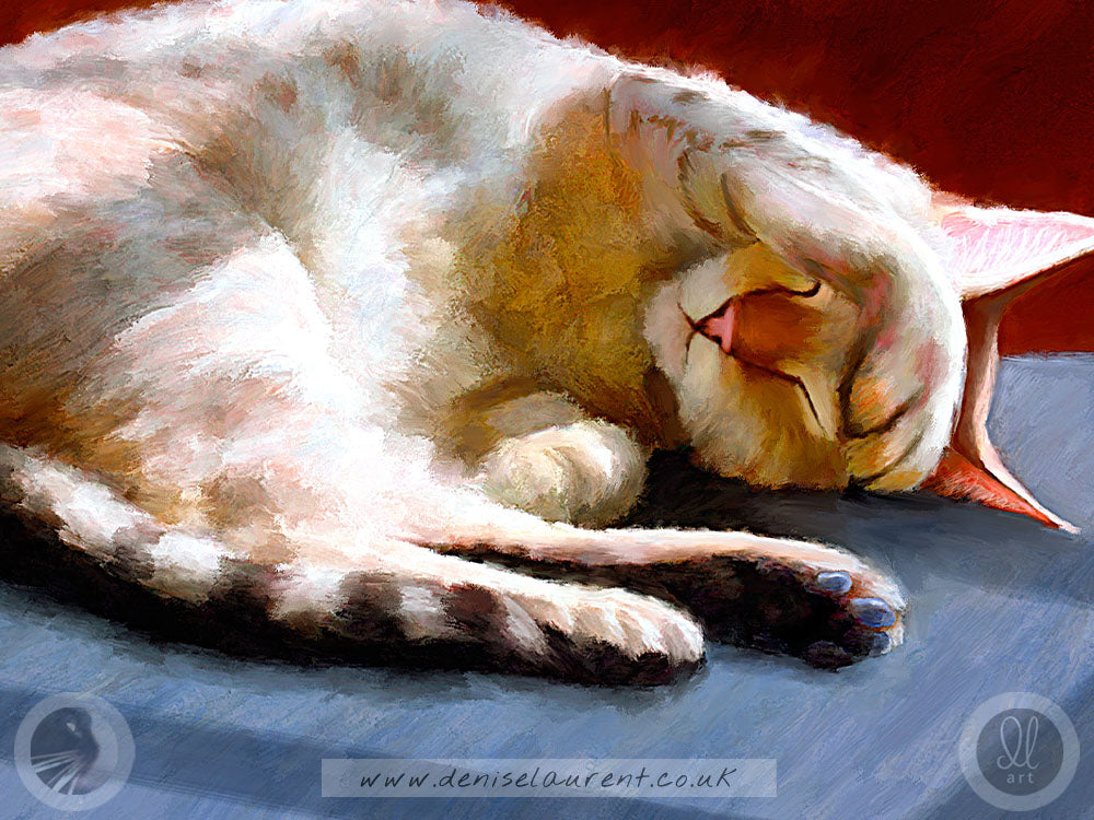 Asleep In The Sun - Bengal Cat Art Print