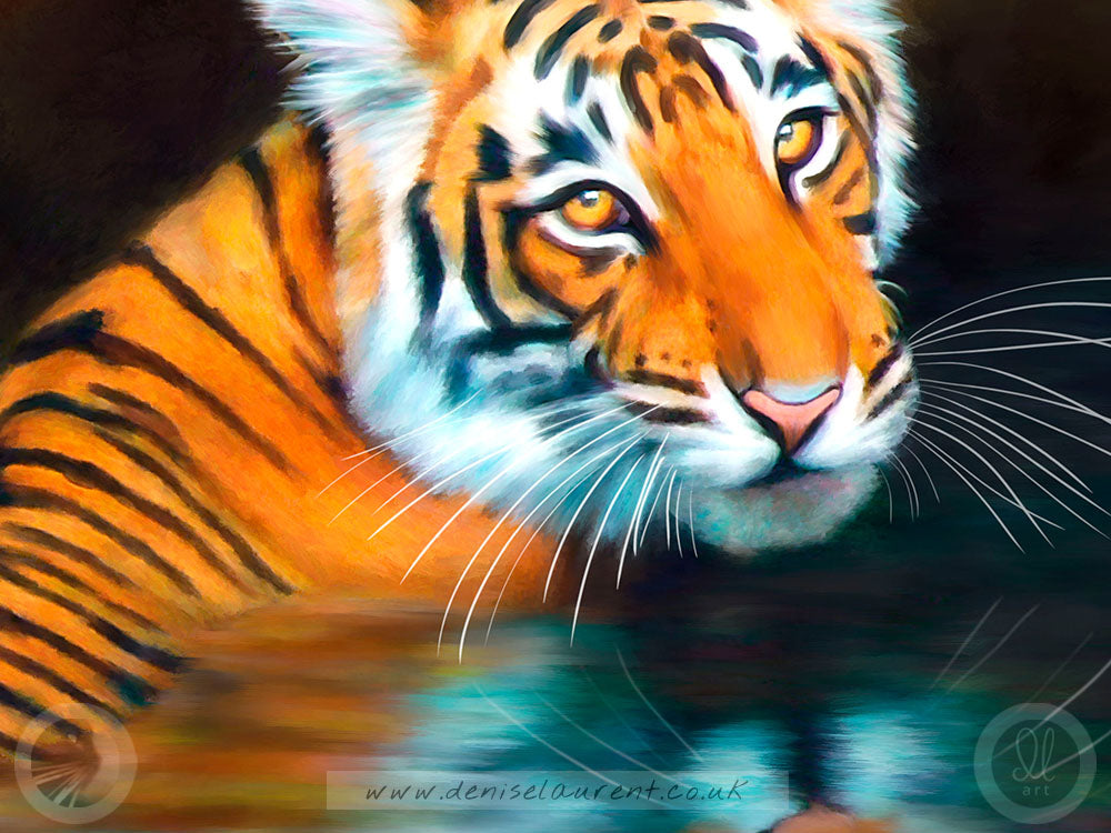 Bathing Tiger - Big Cat Print
