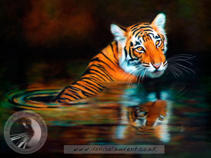 Bathing Tiger - Big Cat Print