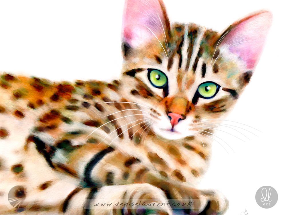 Bengal Kitten - Bengal Cat Art Print