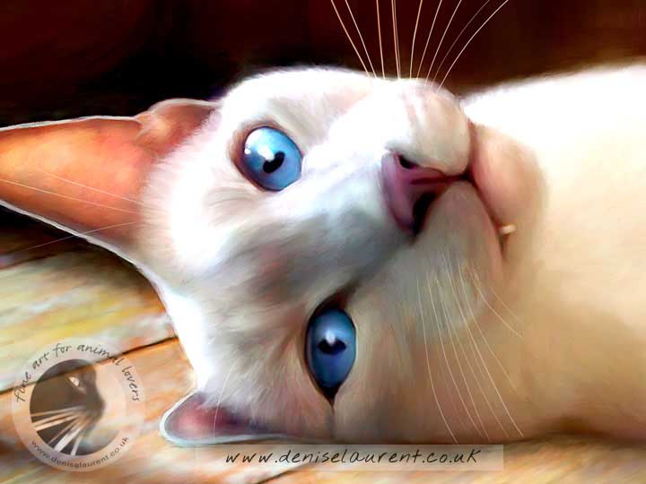Billy On The Floor - Siamese Cat Art Print