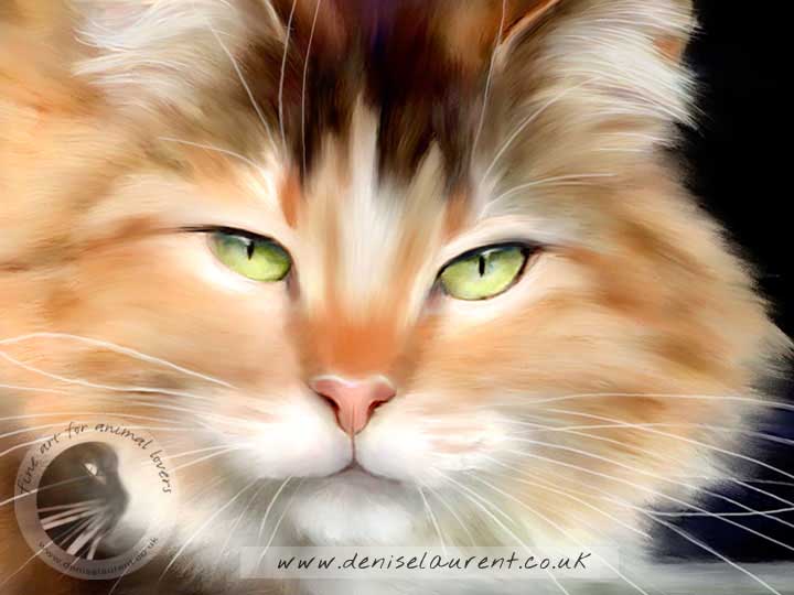 Calico Queen Print
