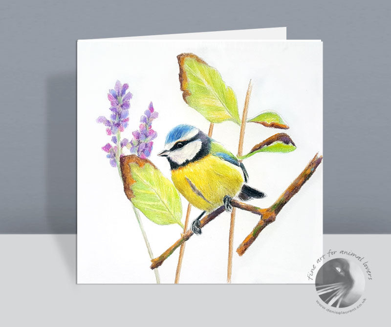 Little Blue Tit - Greetings Card