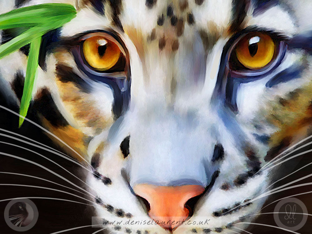 Clouded Leopard - Big Cat Art Print