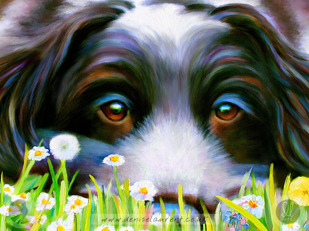 Daisy Daisy - Cocker Spaniel Dog Art Print