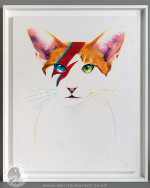 David Meowie - 20"x16" Painting Framed
