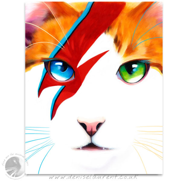 David Meowie - Cat fine Art Print