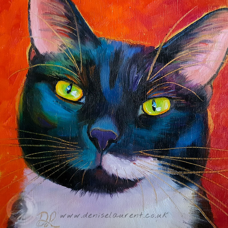 Digby  - Sold