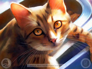 Doing The Washing Up - Bengal Cat Art Print