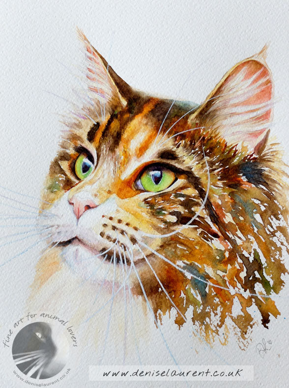 Drama Queen  - Sold