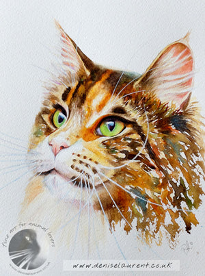Drama Queen  - Sold