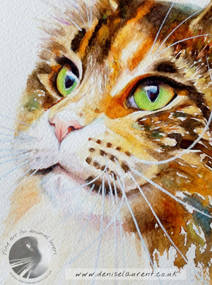 Drama Queen  - Sold