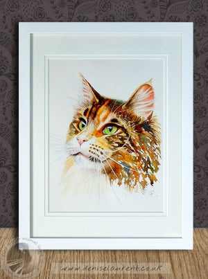 Drama Queen  - Sold