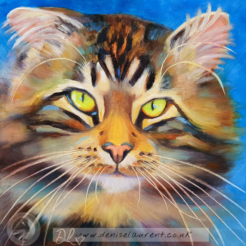 Fonzie  - Sold