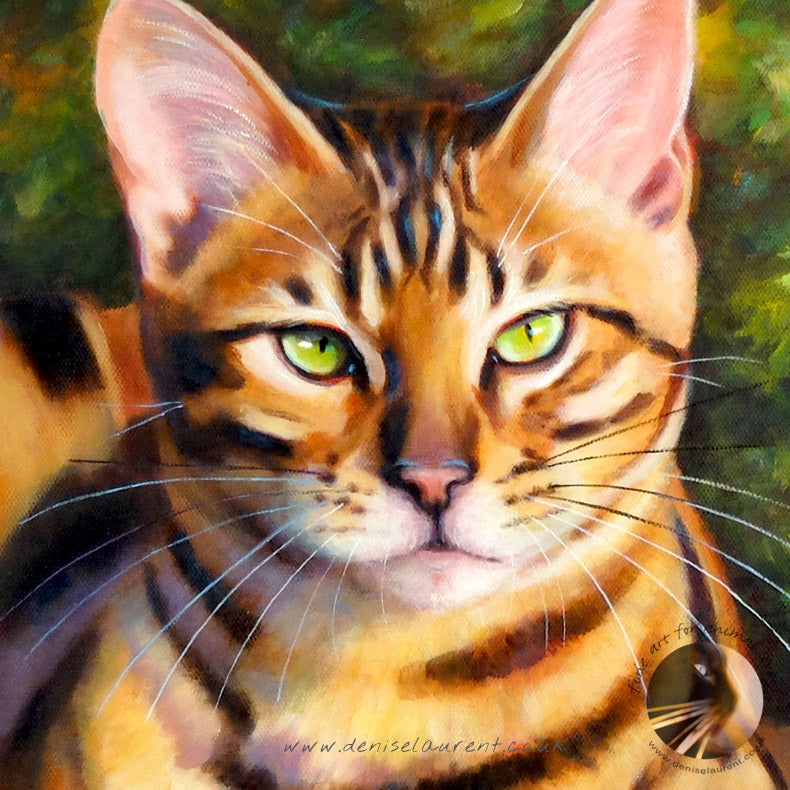 Portrait Of Hari