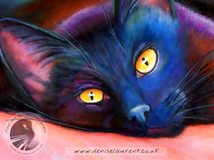 black cat lying down art pint