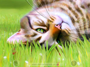 Here Come The Girls - Tabby Cat Print