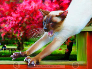 In The Pink - Siamese Cat Art Print
