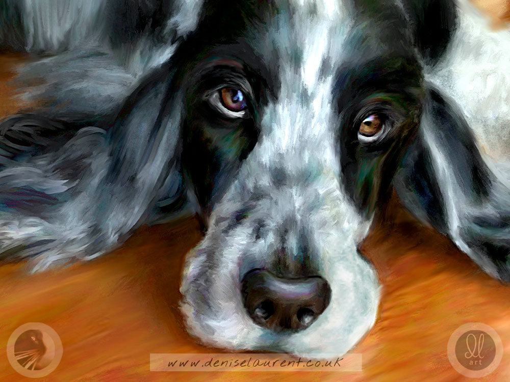 Jasper - English Cocker Spaniel Dog Art Print
