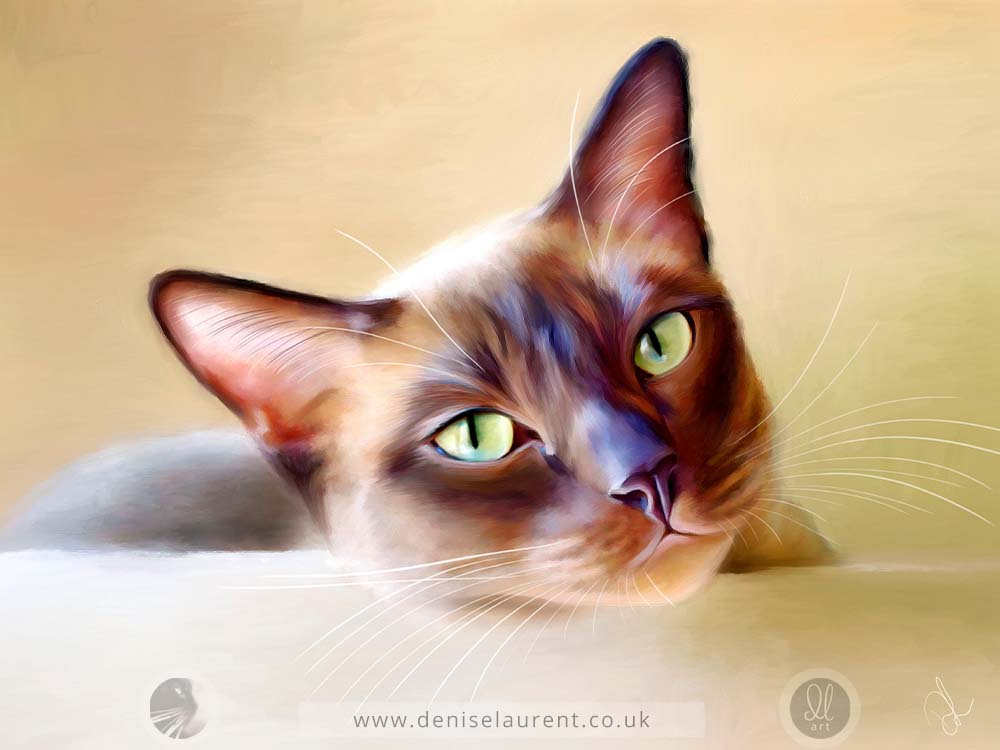 Java - Cat Fine Art Print