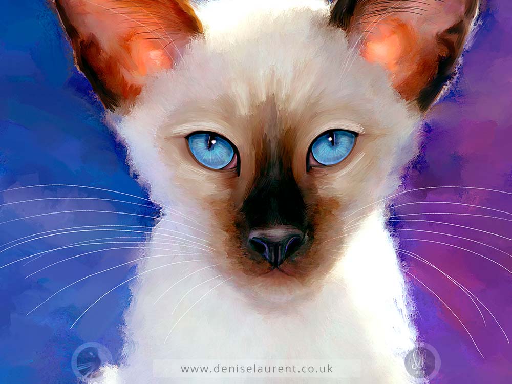 Jewel - Siamese Cat Art Print