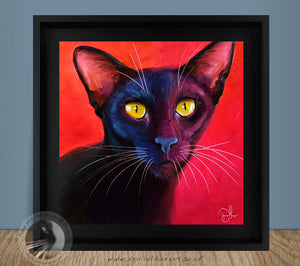 Jezebel  - Sold