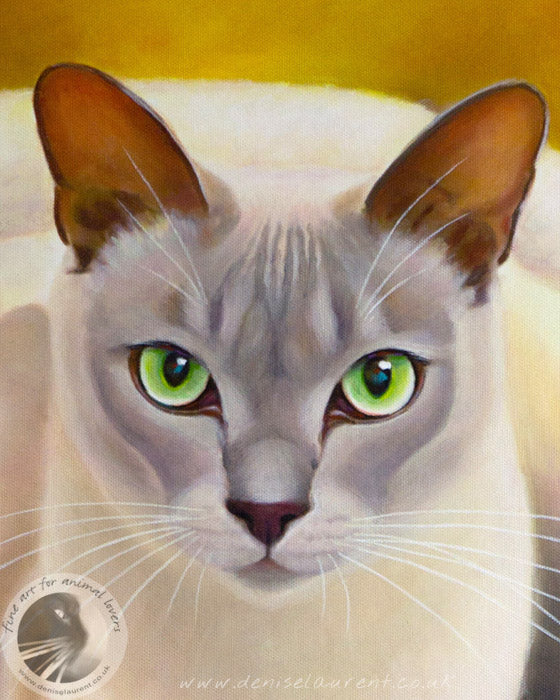 Portrait Of Beau - Commission