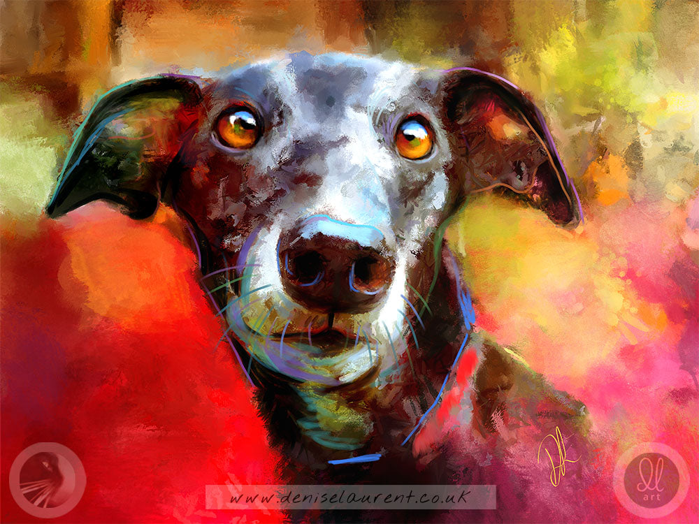Milly Many Coats - Greyhound artwork. This print shows a black greyhound dog with captivating brown eyes against a colourful background of reds and golds. A colourful print.