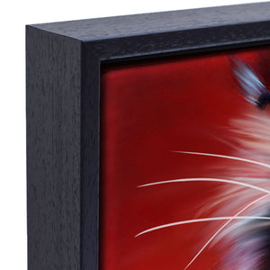 Close-up of the deep solid wood  frame for Miss Honey, a framed Maine Coon canvas print.