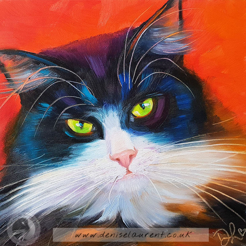 Oreo  - Sold