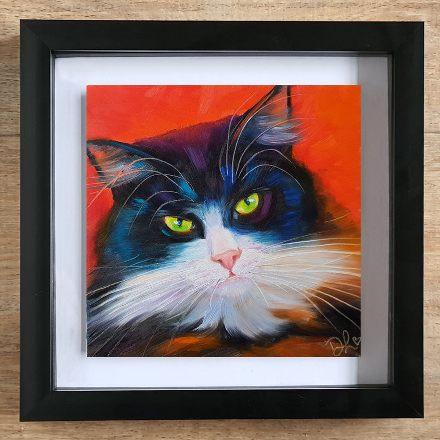 Oreo  - Sold