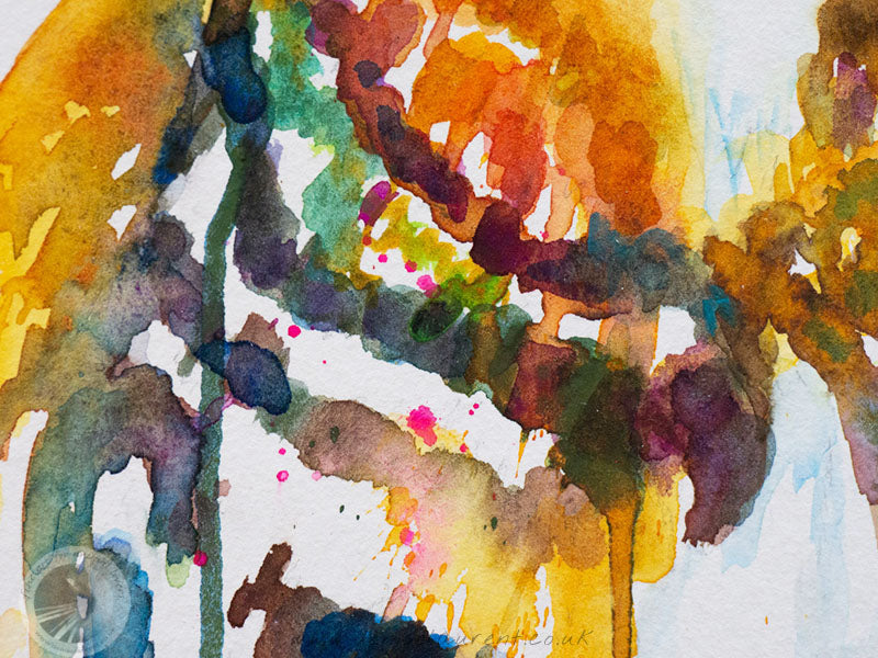 Portrait Of Rupee And Midnas