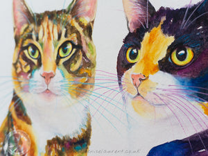 Portrait Of Rupee And Midnas