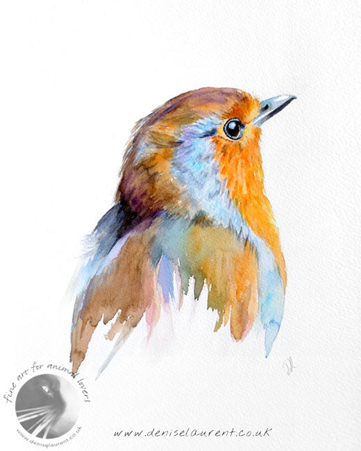 Robin Portrait - Bird Art Print