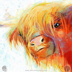 Rose In The Snow - Highland Cow Art Print