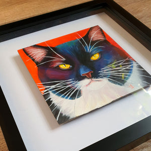 Tuxedo Cat 6x6" Framed Oil Painting