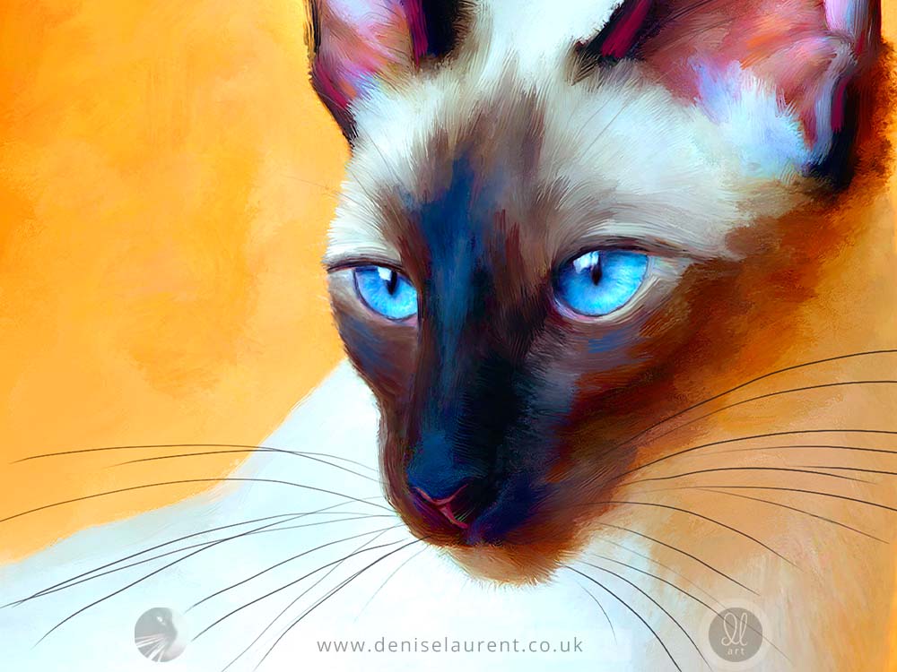 Siamese Blue - Siamese Cat Art Print
