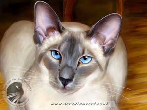 Sitting Pretty - Siamese Cat Art Print