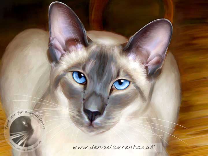 Sitting Pretty - Siamese Cat Art Print