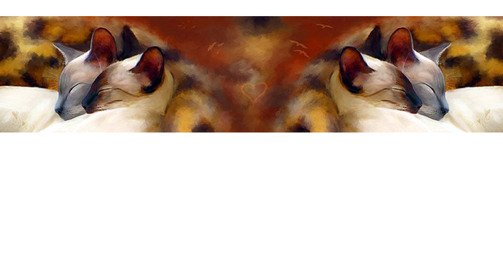 Sleeping Siamese Chiffon Scarf