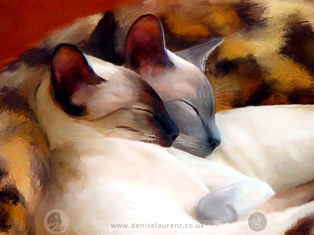 Sleeping Siamese - Siamese Cat Art Print