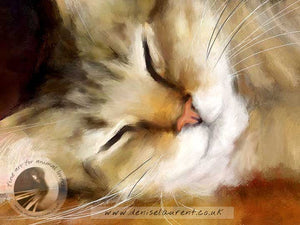 Snooze - Tabby Cat Print