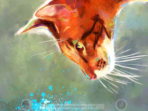 Splash - Oriental Cat Art Print